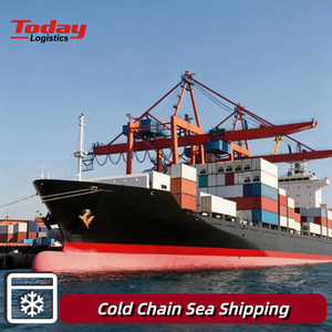 Transporte Express de Cadena de Frío Marítimo y Terrestre, Agente de Carga para Oriente Medio y África, Carga Sensible a la Temperatura, Logística Puerta a Puerta DDP DDU - Product Image 1