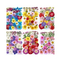 Combo de fleurs et feuilles séchées, 40 pièces, couleurs teintées pour lampe en résine époxy, coque de téléphone, art floral pressé DIY