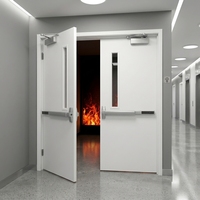Porte coupe-feu en acier thermolaqué isolée contre la fumée, taille personnalisable pour projets de complexes commerciaux