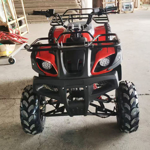 Trung Quốc Nhà Máy Của Nhà Sản Xuất Khí Powered Dune Buggy Bên Bờ Biển Cưỡi Bãi Biển Buggy Để Bán - Product Image 3