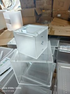 Floresan manyetik akrilik atlama örümcek kertenkele küp Treehouse - Product Image 4