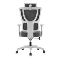 Chaise ergonomique haut de gamme à dossier haut en maille |   Appuie-tête et support lombaire réglables |   Chaise de bureau pivotante avec base en nylon