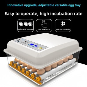 Incubateur d'oeufs de bonne qualité 120 capacité incubateur entièrement automatique <span class=keywords><strong>à</strong></span> <span class=keywords><strong>vendre</strong></span> - Product Image 2