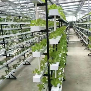 Sistema NFT vertical hidropónico de plástico para invernadero grande industrial con tubos dobles para cultivo de fresas - Product Image 3