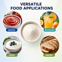 Gomme xanthane de haute qualité 99% épaississant stabilisateur 200 mesh de qualité alimentaire pour sauces, boissons, lait de soja, nouilles, crème glacée