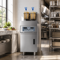 Friteuse Commerciale Directe Usine, Plusieurs Modèles Disponibles, Équipement de Friture pour Frites et Poulet Frit