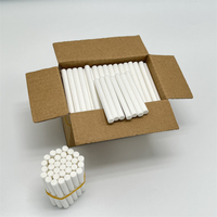 Remplacement blanc sans colle huile essentielle parfum absorber filtre mèche voiture désodorisant recharge PE coton diffuseur bâtons