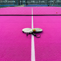 Pista de Pádel Panorámica Profesional para Exteriores, Conjunto Completo con Estructura de Acero, Vidrio Templado de 12 mm, Césped Artificial Opcional