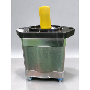 Bomba de aceite para máquina de moldeo por inyección Servo serie EIPC EIPC3-025RA23-10 EIPC3-040RA23-10 Bomba de engranajes hidráulica EIPC3 EIPC5 - Product Image 3