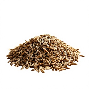 Graines de cumin entières séchées, graines de cumin indiennes, épice naturelle de cumin entière, épice de graines de cumin séchées - Product Image 1