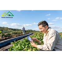 Contrôleur climatique intelligent pour serre agricole IoT | Système de fertigation et d'irrigation IoT | Surveillance à distance | Directement de l'usine