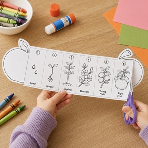 Activité sur le cycle <span class=keywords><strong>de</strong></span> vie des plantes pour enfants : Kit <span class=keywords><strong>de</strong></span> coloriage pliable en accordéon sur le parcours <span class=keywords><strong>de</strong></span> croissance des plantes, <span class=keywords><strong>de</strong></span> la <span class=keywords><strong>graine</strong></span> à la floraison - Product Image 5