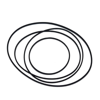 Courroie d'entraînement en caoutchouc pour tourne-disque, courroie plate/à joint torique pour lecteur de vinyle et lecteur de cassettes, antidérapante et durable