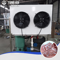 Máquina de hielo en tubo sólido de 30 toneladas 10t CBFI para bebidas frías