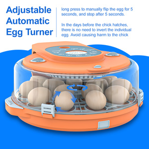 Système d'incubation d'œufs à retournement automatique, contrôle numérique de la température et de l'humidité, capacité de 15 œufs, candélabre LED, poulet, canard, caille, émeu - Product Image 5