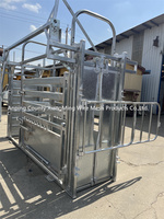 Système durable de pesage de chute de compression de bétail avec la porte principale bovine réglable pour des opérations vétérinaires de ranch
