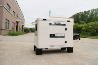 E SONG 15KW Générateur domestique Démarrage automatique Propane/GPL pour pannes de courant Carburant Gaz naturel