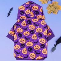 Costume de fête d'Halloween pour animaux de compagnie : tenue de démon, citrouille, lampe, vêtements mignons pour petits et moyens chiens, chiens Teddy, chats - Vente en gros