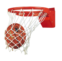 Panier de basket-ball professionnel réglable et portable avec panneau arrière en PE élastique, prix direct usine Inde