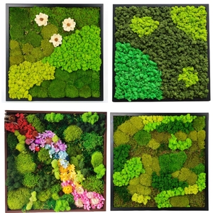 보존 된 꽃 공급 업체 이끼 장식 보존 된 이끼 벽 예술 나무 사진 프레임 이끼 벽 장식 프레임 - Product Image 4