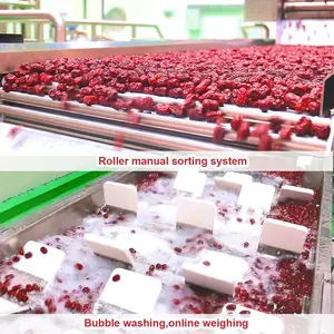 Production Line Dates Juce Date Sugar Production Line