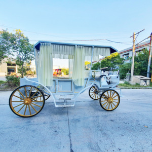 Carruaje de Caballos Vintage Personalizado, Carrozas Turísticas, Diseño Personalizado, Carruaje Eléctrico o Tirado por Caballos - Product Image 1