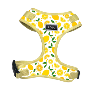 Arnés de Paseo para Perros de Estilo Lindo y Ajustable, Suministros para Mascotas, Suministros de Fábrica, Recreativo, para Perros Pequeños y Medianos - Product Image 3