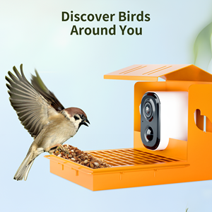कैमरा थाई पक्षी मान्यता के साथ 3mp hd पक्षी फीडर सौर ऊर्जा तत्काल अधिसूचना पूर्ण HD पक्षियों की स्वचालित रिकॉर्डिंग - Product Image 6