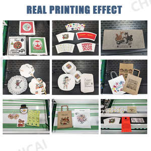 <span class=keywords><strong>เครื่อง</strong></span>พิมพ์อิงค์เจ็ทช่องทางเดียวความเร็วสูง chicai - Product Image 6