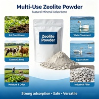 Polvo de Zeolita Natural Pura para la Conservación de Frutas y Verduras, Adsorbente de Etileno de Clinoptilolita, Exportación al por Mayor
