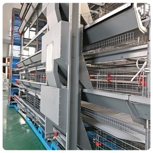 Tipo H azienda agricola fornito completamente automatico gabbie per polli alimentatori animali allevamento gabbie a strati di pollame per galli - Product Image 1