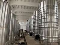 Cuve de fermentation conique pour vin de fruits 8000L avec serpentin de refroidissement