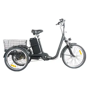 Factory Hot Sale 20inch Adults Electric Tricycle 36V15A Controller 3 Wheels Bicycle