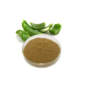 Natural 98% Aloe Vera Dry Extract Powder Barbaloin Price