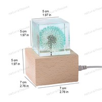 Lampe de nuit en résine de pissenlit stabilisé en gros, lampe décorative LED tactile rechargeable par USB pour souvenir et cadeau