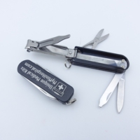 Outil multifonction en acier inoxydable personnalisé pour l'extérieur, petit couteau tactique suisse miniature, porte-clés, couteau pliant de poche, porte-clés