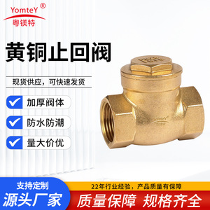 Guangdong Magnesium Special Brass Check Valve Straight-through Single-lobed Structure Water Pipe One-way Valve - Product Image 5