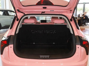 Neta V Lite Versión Chao 2022, Auto Eléctrico con 401 km de Autonomía - Product Image 3