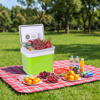 Mini-réfrigérateur portable 24L pour voiture et maison, glacière et chauffe-plat, alimentation DC 12V et prise AC
