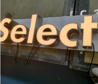 Letra de canal LED de alta calidad, Letra de canal iluminada con cara con tapa embellecedora, letrero de Metal luminoso 3D para tienda