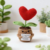 Woopal Emotionele Steun Haakpatronen Valentijnsdag Liefdes-aanmoediging Ornament Katoen Handgemaakt Bij Zacht Handgemaakt