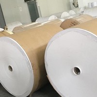 Papel Offset Especializado de Alta Calidad con Revestimiento Blanco, de una Sola Cara, Ecológico, Resistente a la Grasa, 100% Pulpa Virgen, 80g/m², Hecho en China