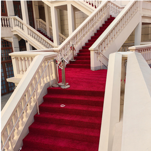 <span class=keywords><strong>Chambre</strong></span> salon tapis salle de banquet tapis rouge moderne simple grande surface entièrement posé ignifuge maille chanvre fond durable - Product Image 2