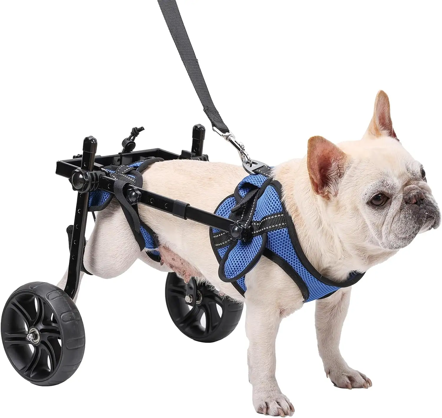 كرسي متحرك للكلاب قابل للضبط لظهر السيقان - مساعدات الحركة لذوي الاحتياجات الخاصة حامل ساق الكلب ودعامة الفخذ