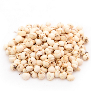 Bulbo de Fritillaria Chuan Seco, Crudo y Natural, Hierba Calmante para los Pulmones, en Rodajas, para Té Herbal Individual, Empaque Personalizado - Product Image 2
