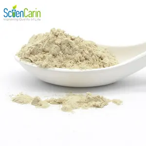 Scientarin fornisce lattato ferroso in polvere di lattato ferroso di vendita calda per uso alimentare