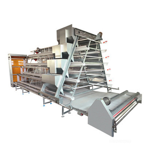 Meksika'da kanatlı tavuk tabakası yeni verimli hayvan kafesi için toptan <span class=keywords><strong>a</strong></span>-tipi galvaniz döşeme tavuk kümesi pil kafesleri - Product Image 6