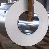 Bobines d'acier inoxydable laminées à chaud 200/304/316 à prix avantageux