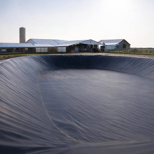 Géomembrane HDPE haute résistance à la traction, résistante aux UV, 0,1 mm 0,2 mm, anti-âge, imperméable, pour bassin à poissons - Product Image 4