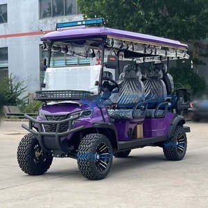 Carrito de Golf Todoterreno Eléctrico, Vehículo de Turismo de 6 Plazas en Venta - Product Image 4